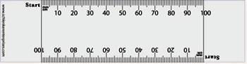Customized Clear or White PVC Rulers w/Double Edge Scale of 0-100