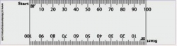 Customized Clear or White PVC Rulers w/Double Edge Scale of 0-100